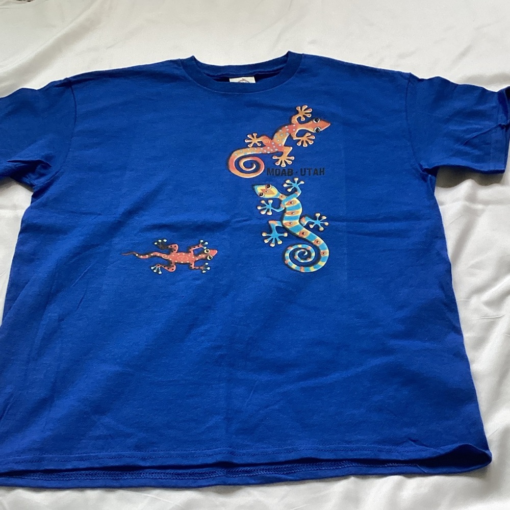 Delta Kids Blue Tee with Vibrant Gecko Print 🏀